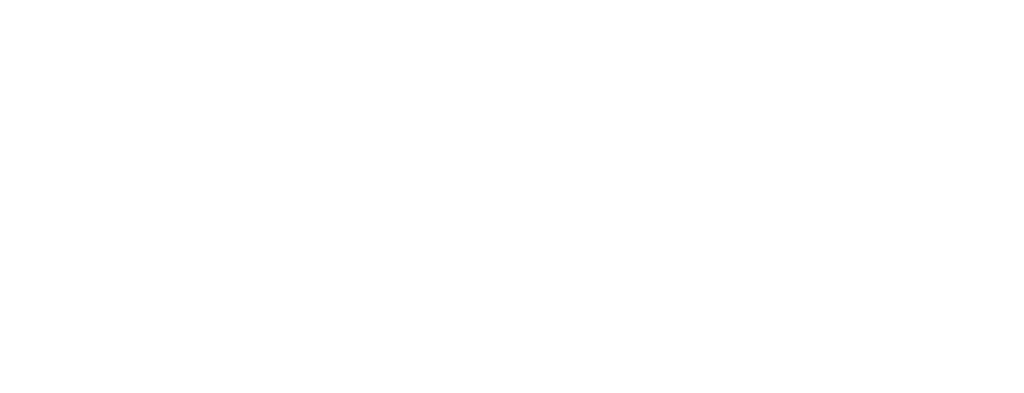 Rural Business Health Initiative